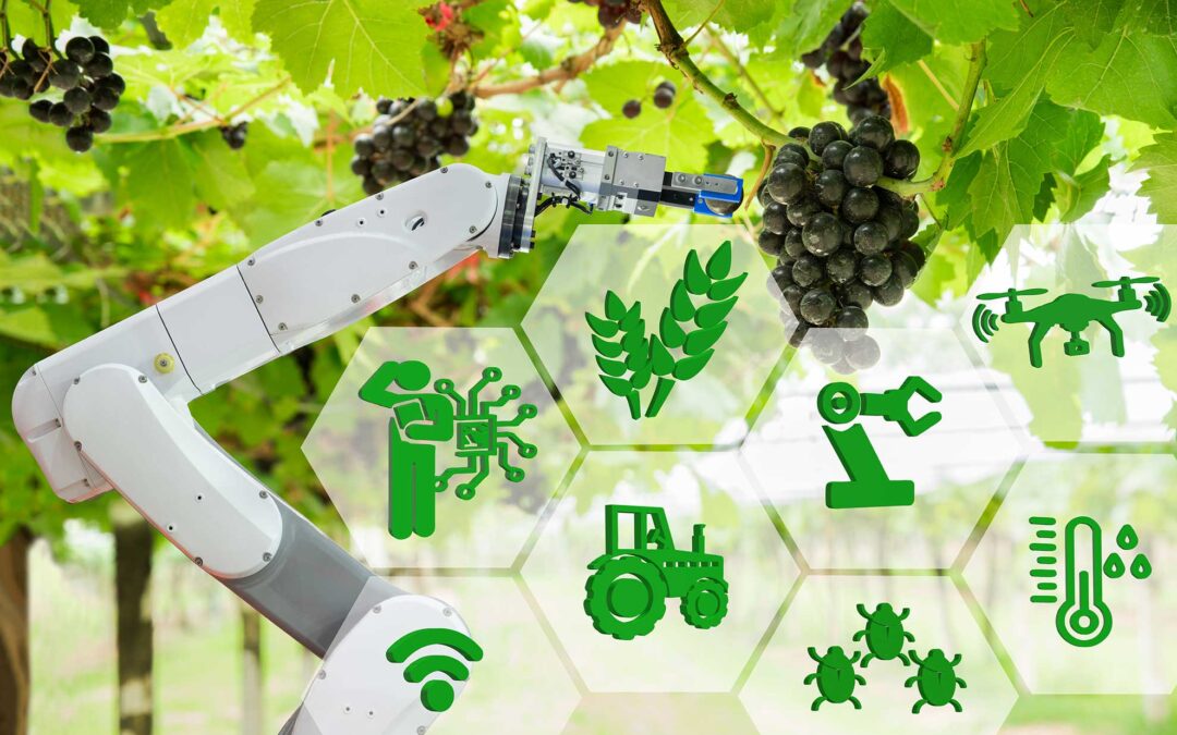Campi Connessi sul sito del partenariato europeo per l’innovazione Eip-Agri